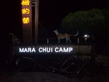 Hotel Mara Chui Camp Ololaimutiek Zewnętrze zdjęcie